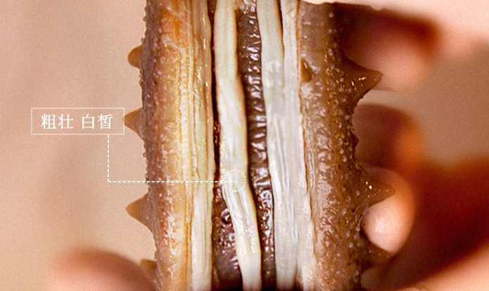 202108201333419436.png 202108201333419436.png