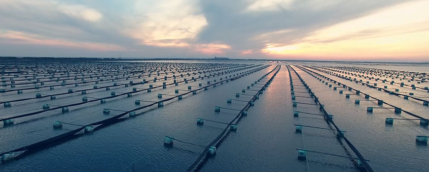 好當(dāng)家高效農(nóng)業(yè).jpg 好當(dāng)家高效農(nóng)業(yè).jpg